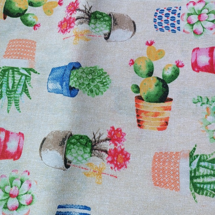 Cactus Cactus