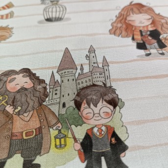 Harry Potter