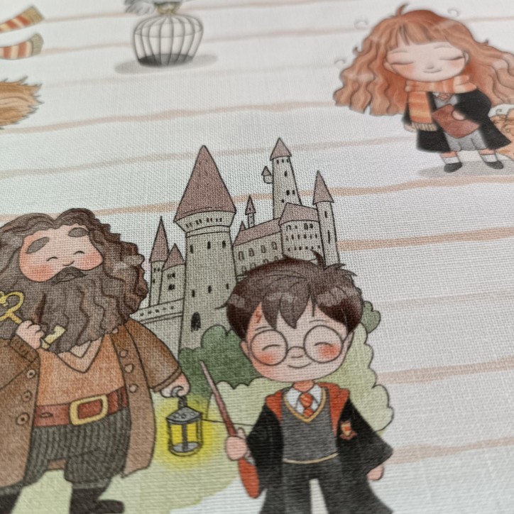 Harry Potter Harry Potter
