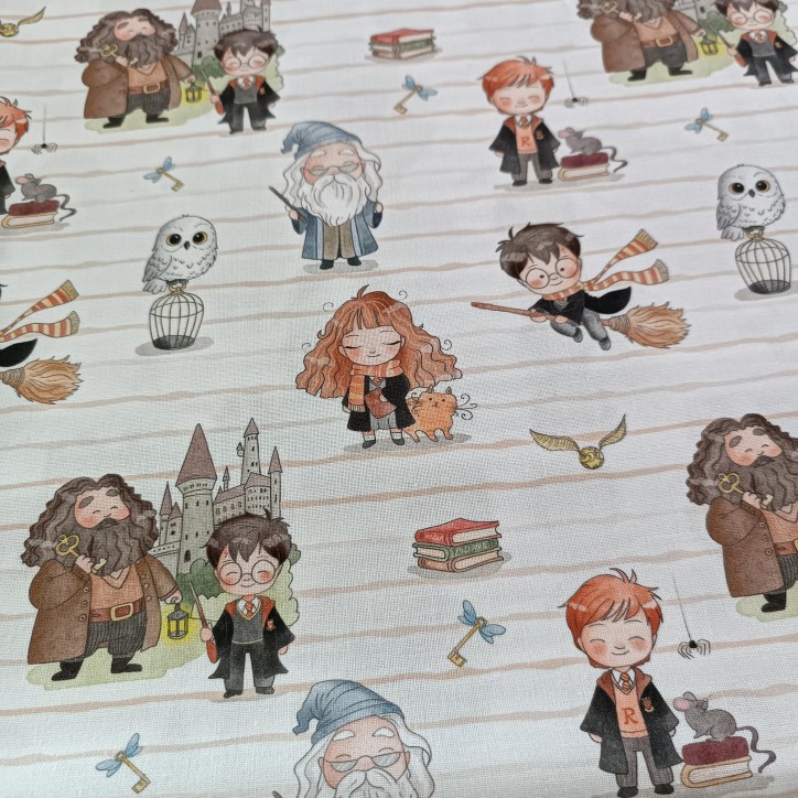 Harry Potter Harry Potter